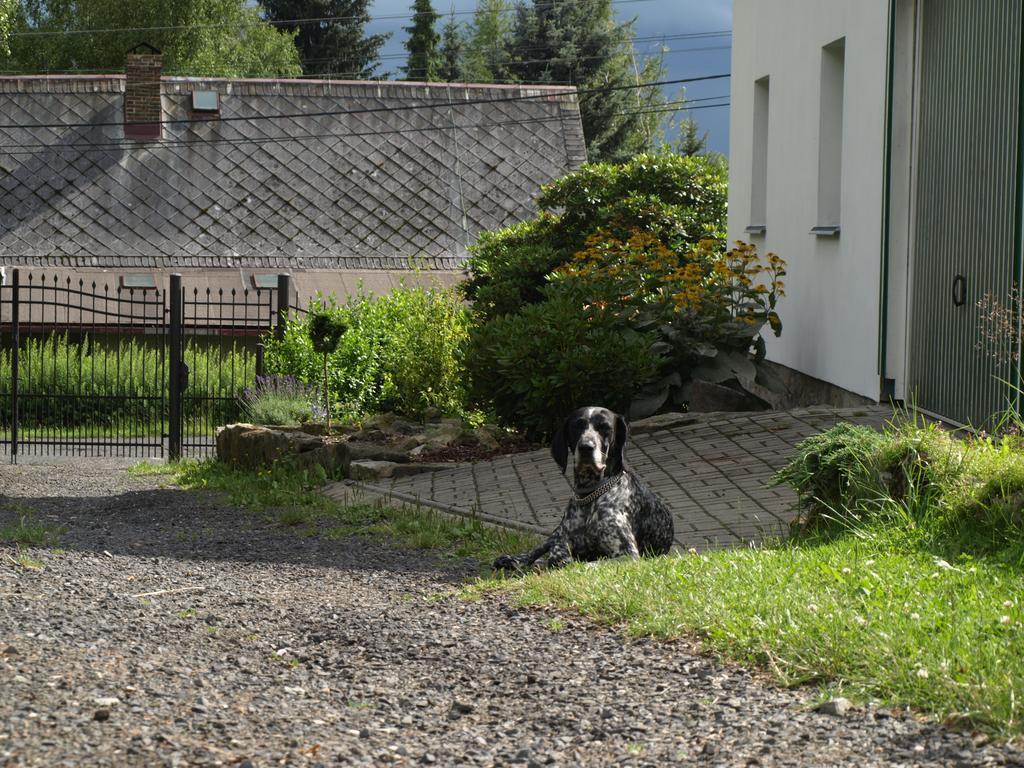 Guest House Luft Sneznik Esterno foto